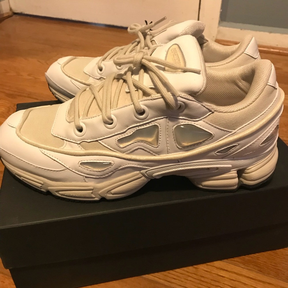 Raf Simmons Ozweego III (size 10)